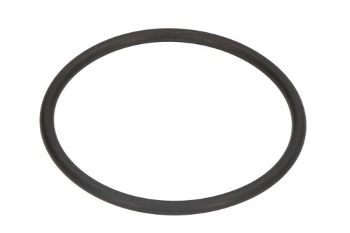 Thermostat Gasket 1