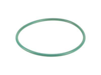 Fuel Pump Tank Seal