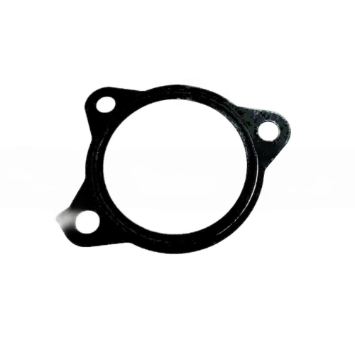 Intake Manifold Gasket