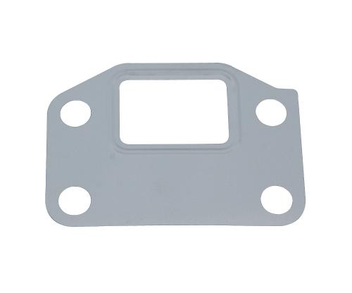 Valve Mounting Gasket
