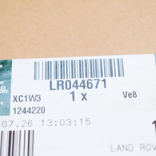 Door Moulding Left Hand Rear Less Insert In Primer - 5 Door Evoque 6