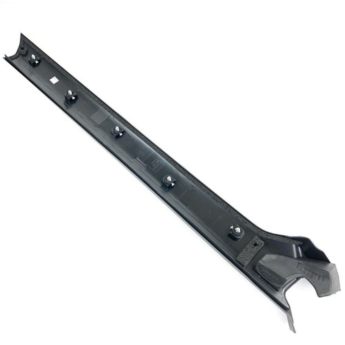 Passenger side A Pillar molding 2