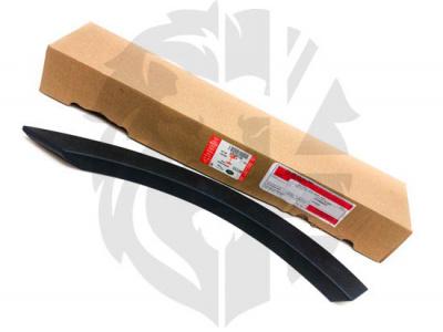 Rear Fender Molding Right 10