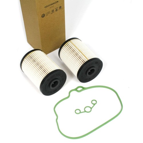 Filter insert with gasket 2