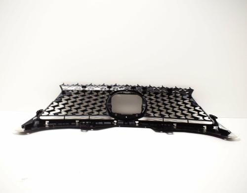 Grille, radiator; JP 14