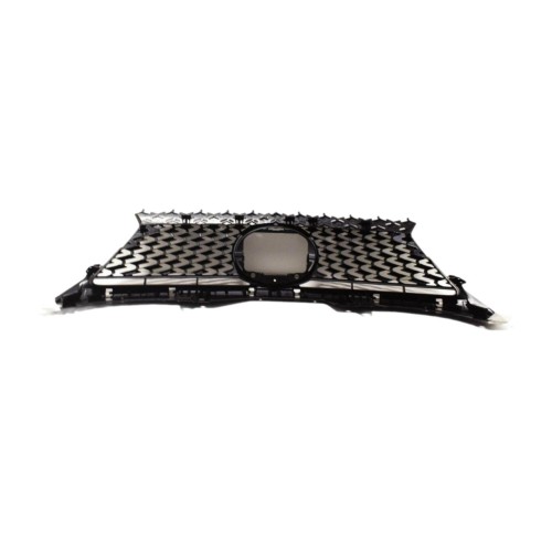 Grille, radiator; JP 5