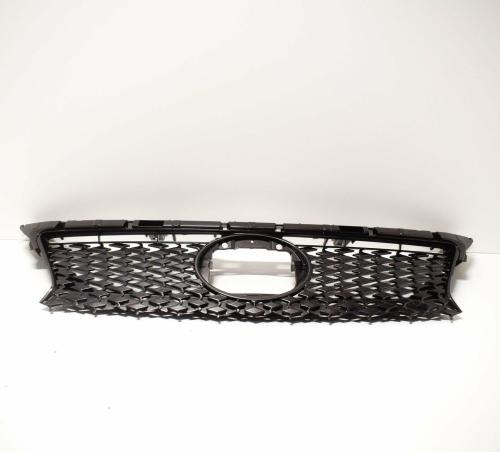 Grille, radiator; JP 12